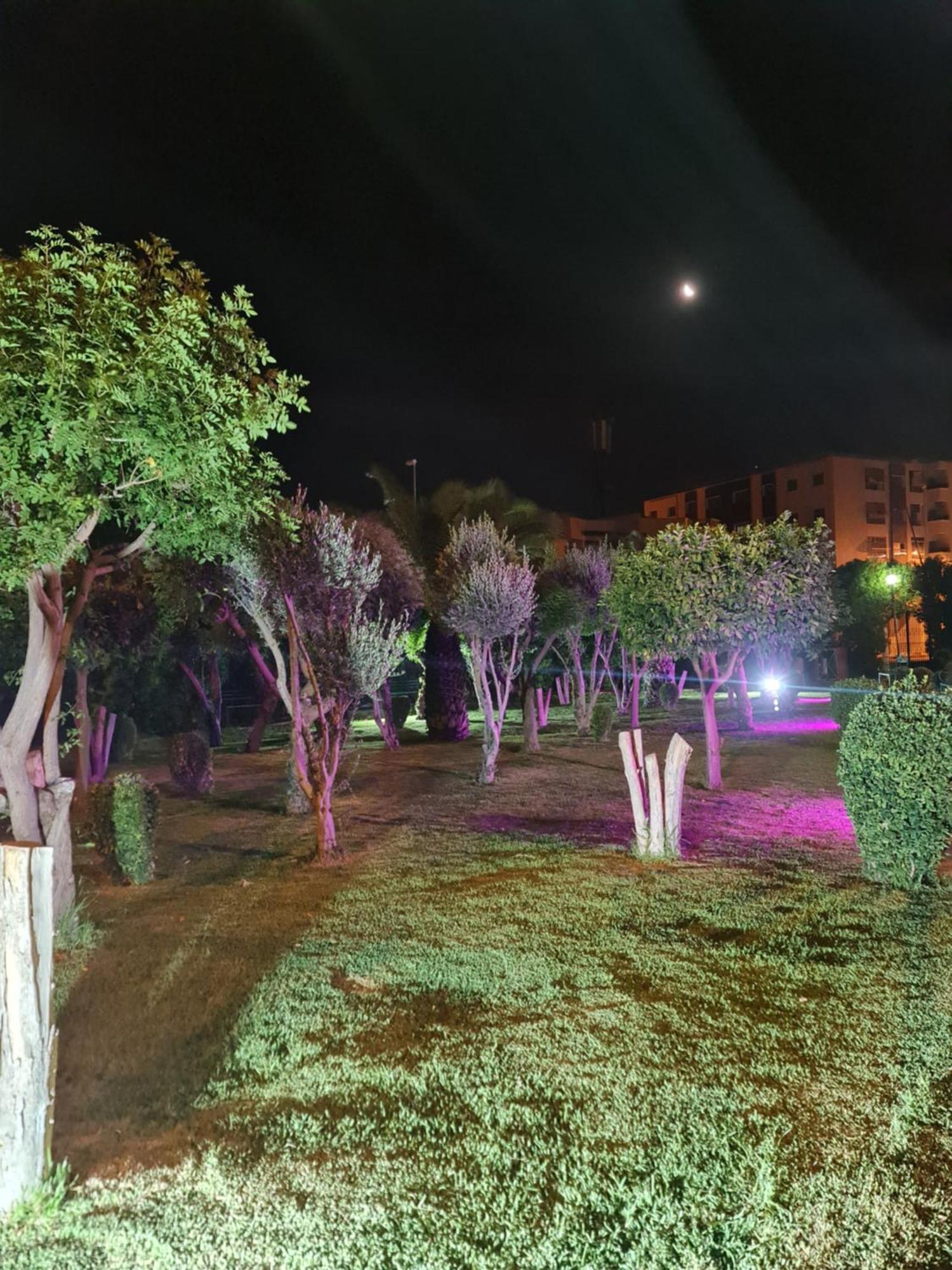 Fes Urban Apartment - Urban Elegance With Garden And Pool Access Buitenkant foto